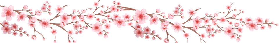 hoa đào Tết
