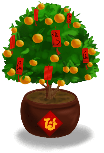cây quất trái