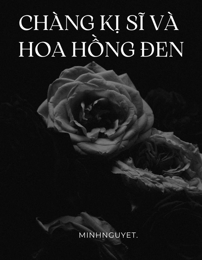ảnh bìa bài viết Chàng kị sĩ và hoa hồng đen