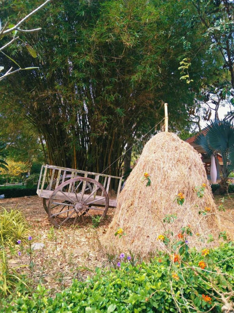 ảnh bìa bài viết Đỏ giọt nhiễu điều