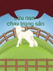 ảnh bìa bài viết Cừu non chạy trong sân