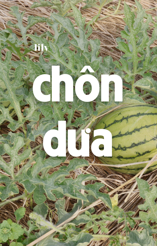 ảnh bìa bài viết Chôn dưa
