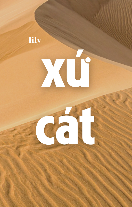 ảnh bìa bài viết Xứ Cát
