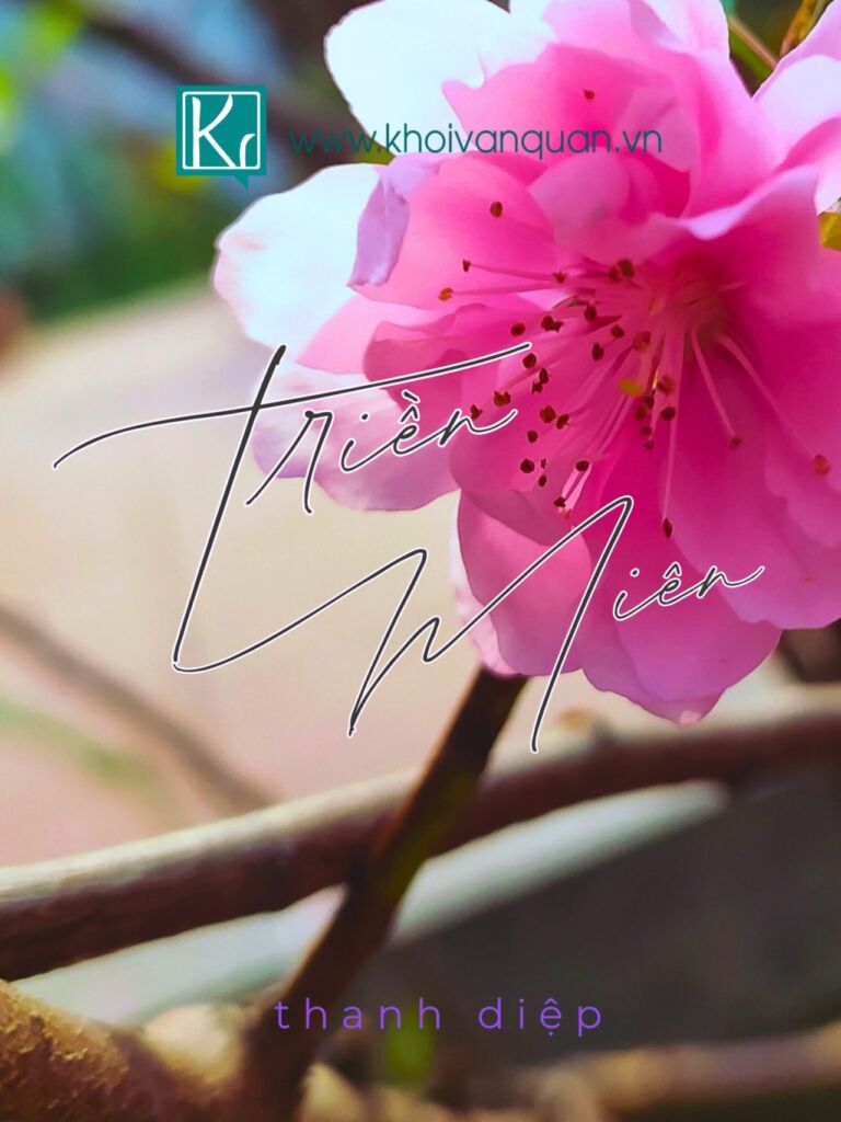ảnh bìa bài viết Triền miên.