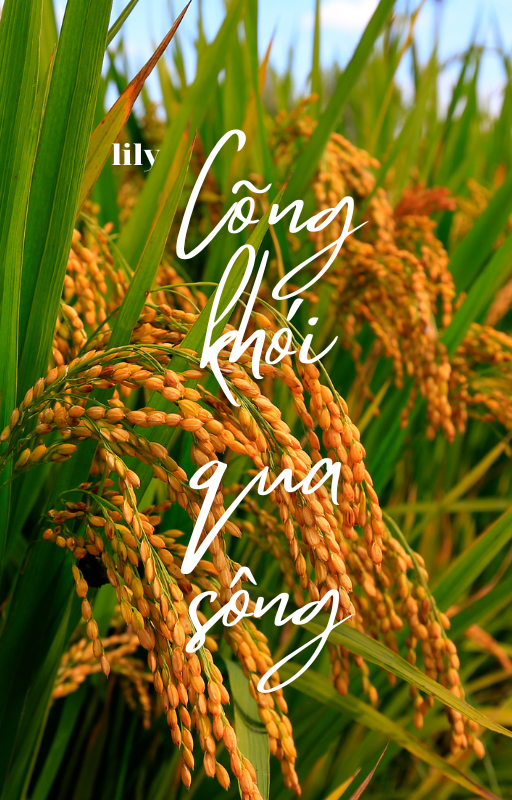 ảnh bìa bài viết Cõng khói qua sông